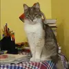 Отзыв от Динара Суслова